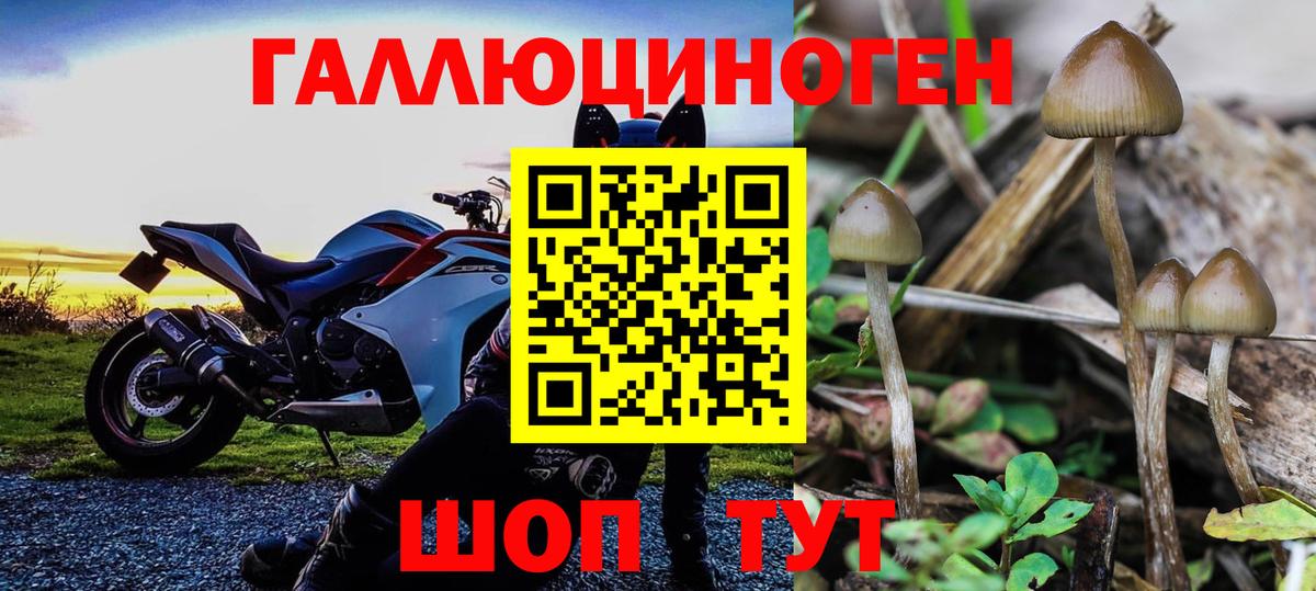 Псилоцибиновые грибы MAGIC MUSHROOMS Южноуральск