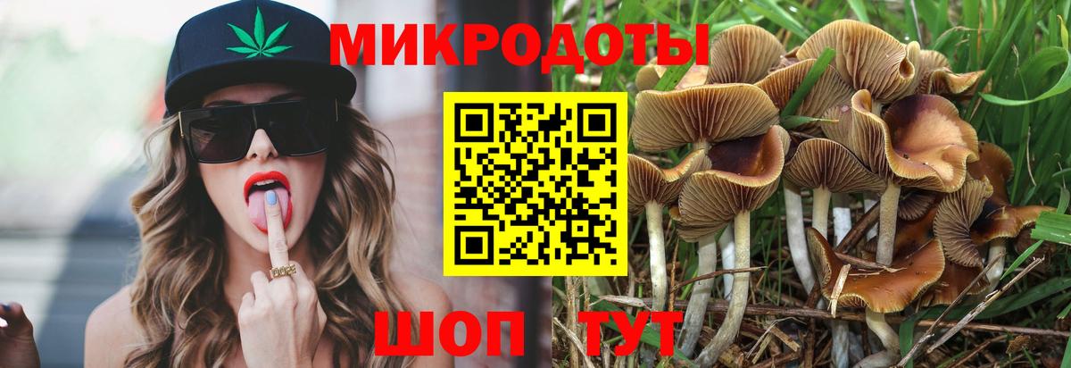Галлюциногенные грибы MAGIC MUSHROOMS  Вход с VPN  Южноуральск  Галлюциногенные грибы мухоморы 